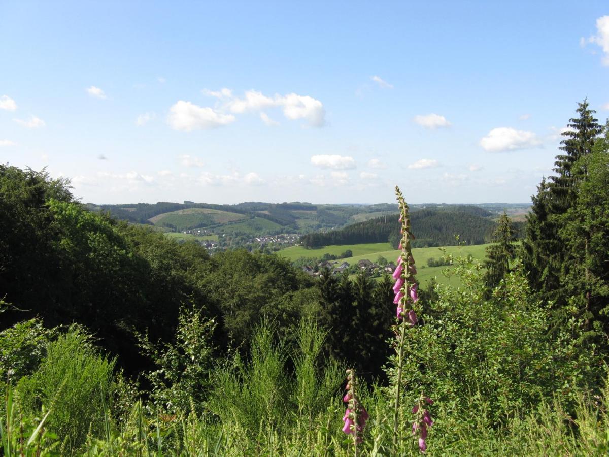 Urlaub Im Naturgarten Apartment Bergneustadt Bagian luar foto