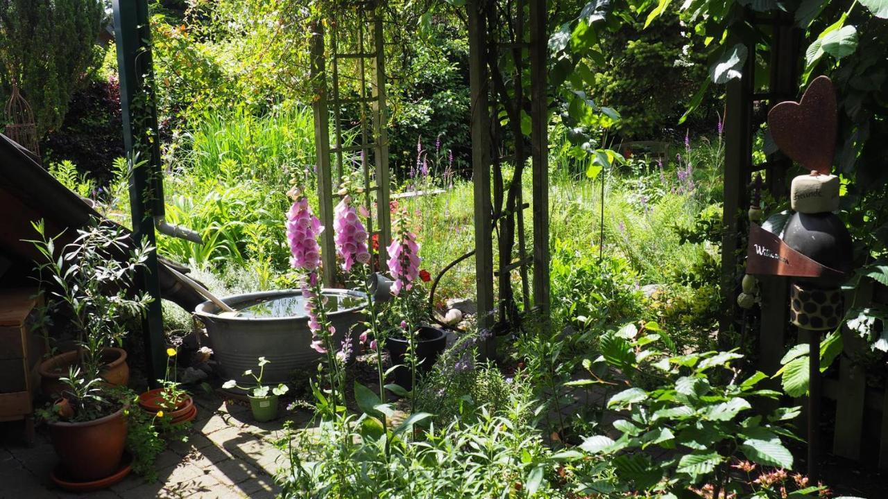 Urlaub Im Naturgarten Apartment Bergneustadt Bagian luar foto